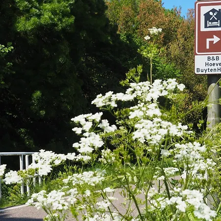 Hoeve Buytenhout * Delft