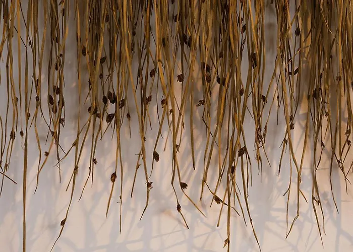 Hoeve Buytenhout * Delft