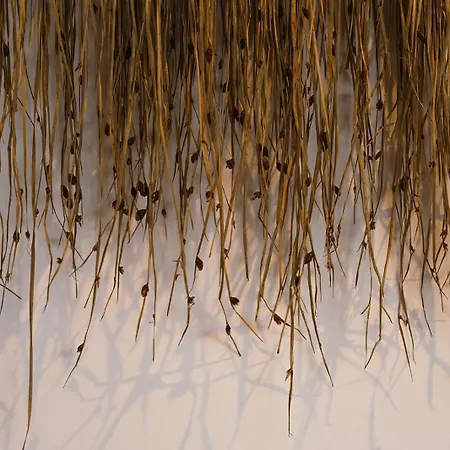 Hoeve Buytenhout * 델프트