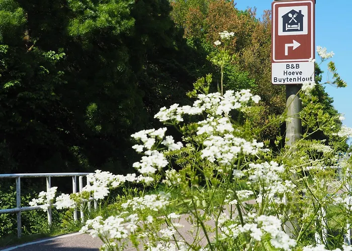 Hoeve Buytenhout * Delft